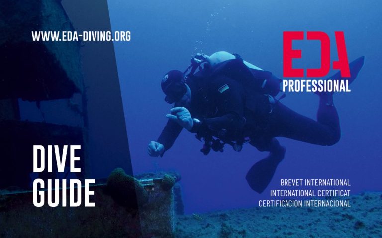 Try Scuba Diver Brevet