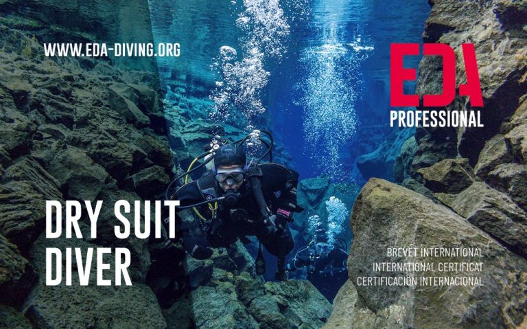 Try Scuba Diver Brevet