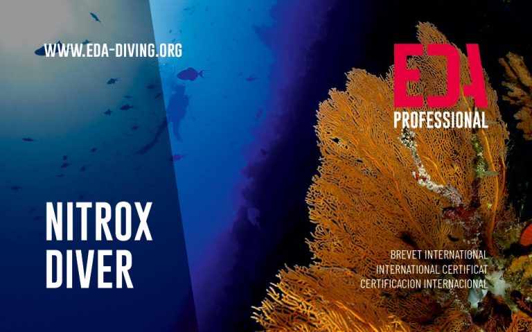 Try Scuba Diver Brevet