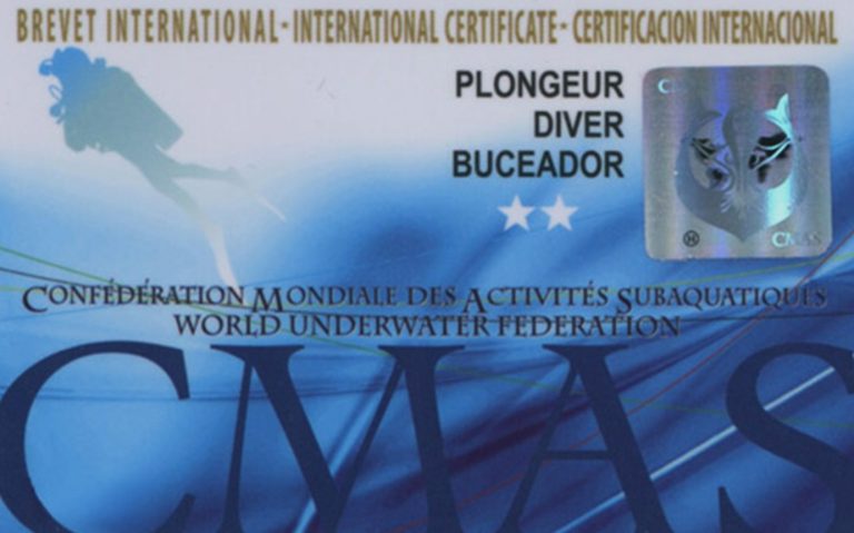 Try Scuba Diver Brevet