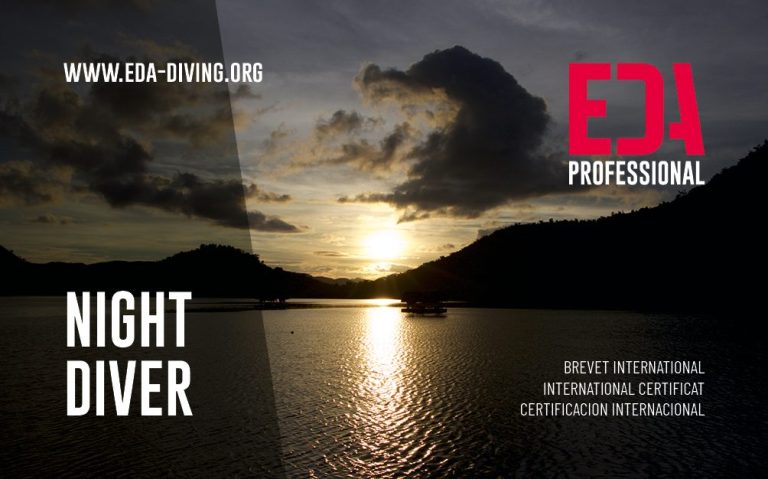 Try Scuba Diver Brevet